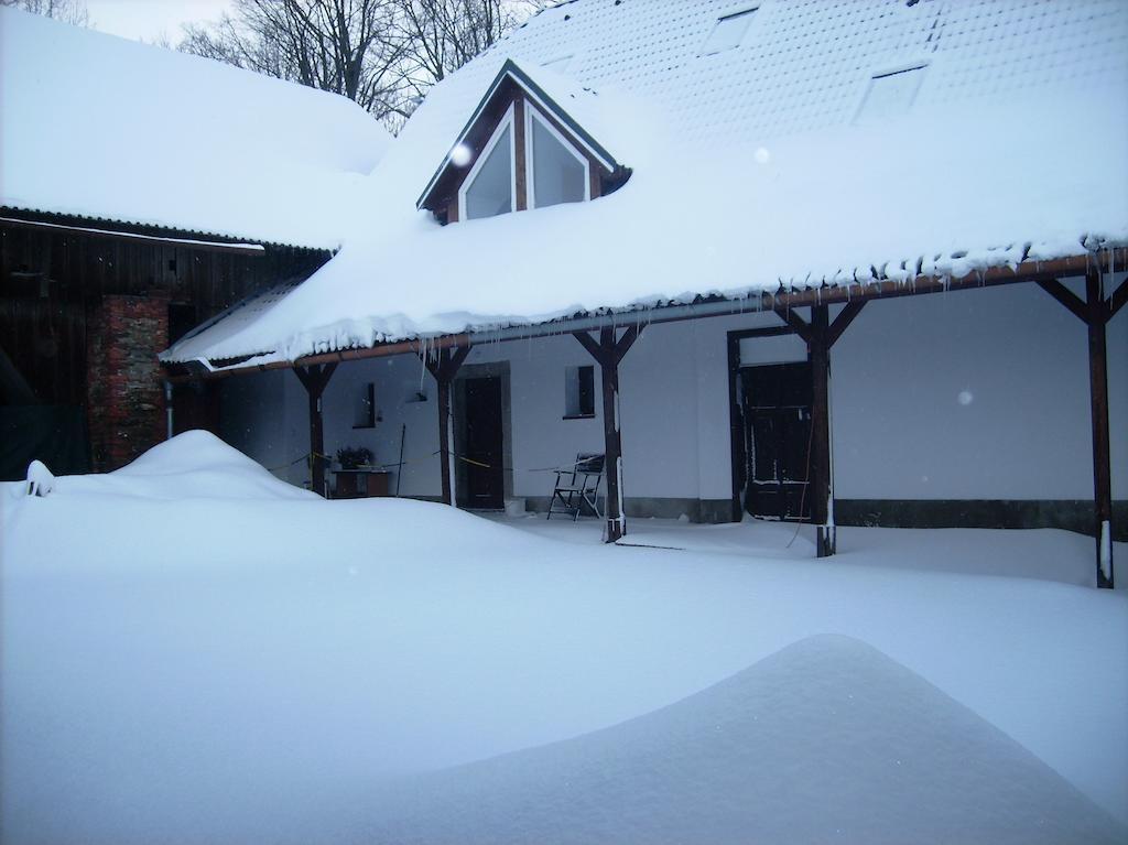 Penzion U Dvojice Nove Mesto na Morave Exterior photo
