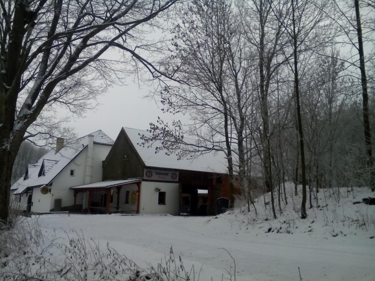 Penzion U Dvojice Nove Mesto na Morave Exterior photo